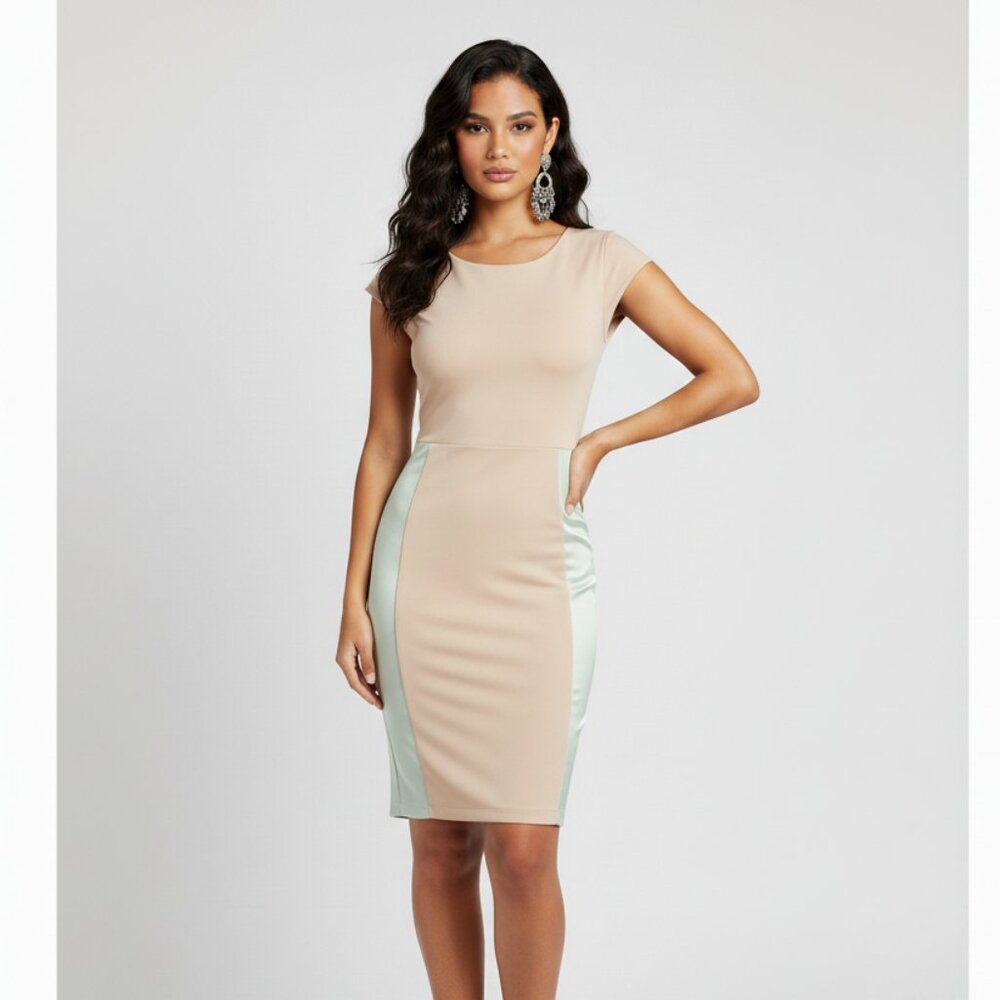 Wilfred Aritzia Mini Dress Bodycon XS Wedding Formal Party Business casual